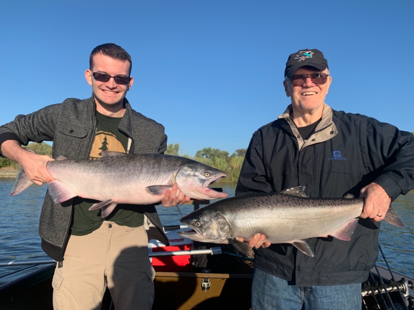 Sacramento River salmon