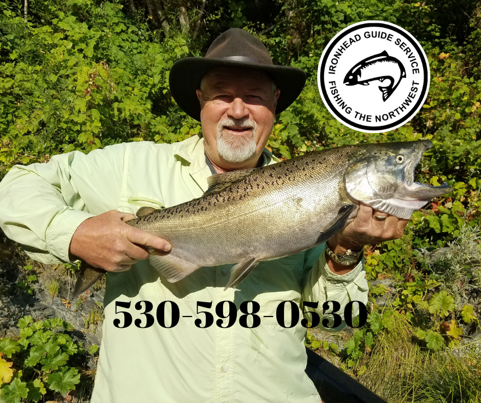 Klamath Salmon Catching
