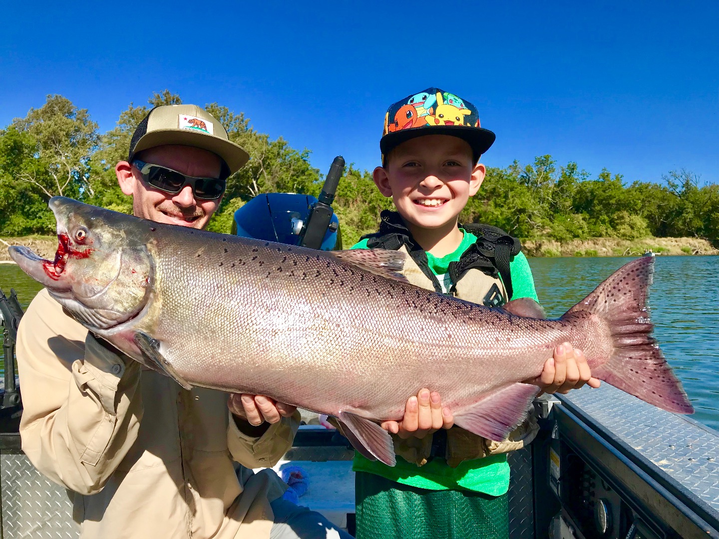 Sacramento River King salmon run continues to build.