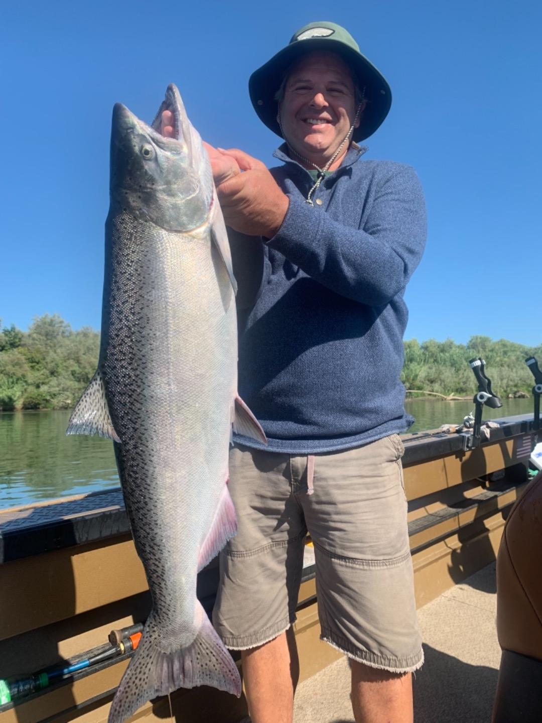 King salmon Corning  Woodson bridge