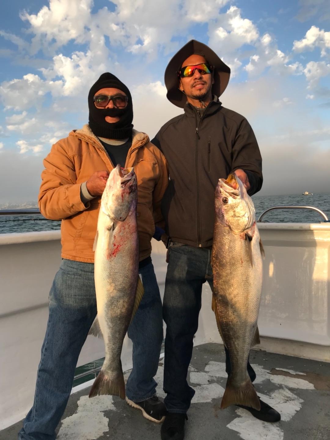 Excellent Bay Fishing Aboard the KingFish