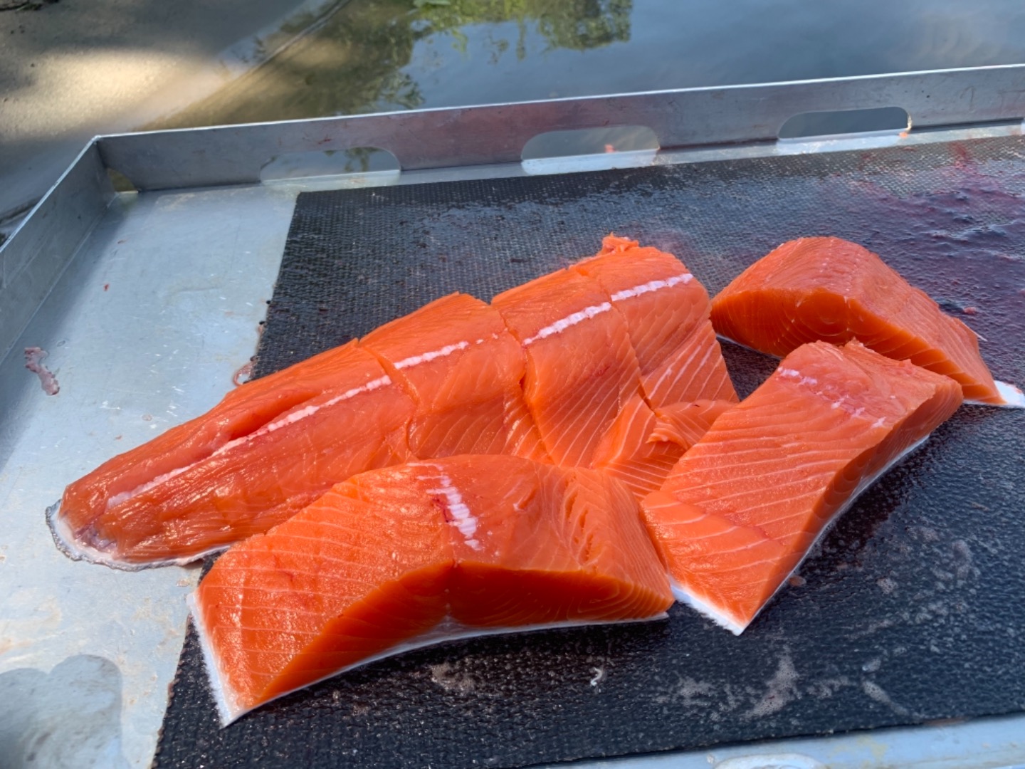 King Salmon