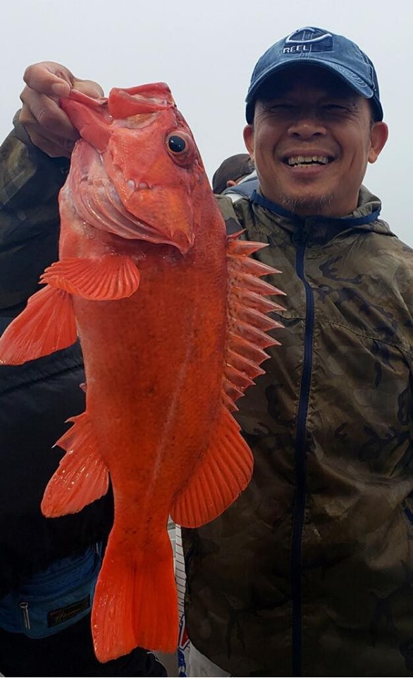 Wide Open Rock Fishing at The Islands