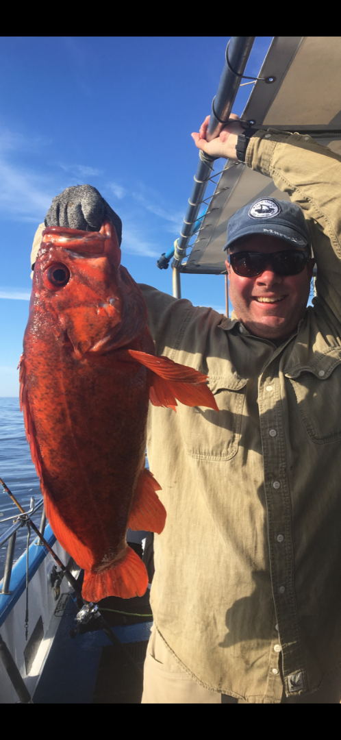 Shallow water Rock Fishing