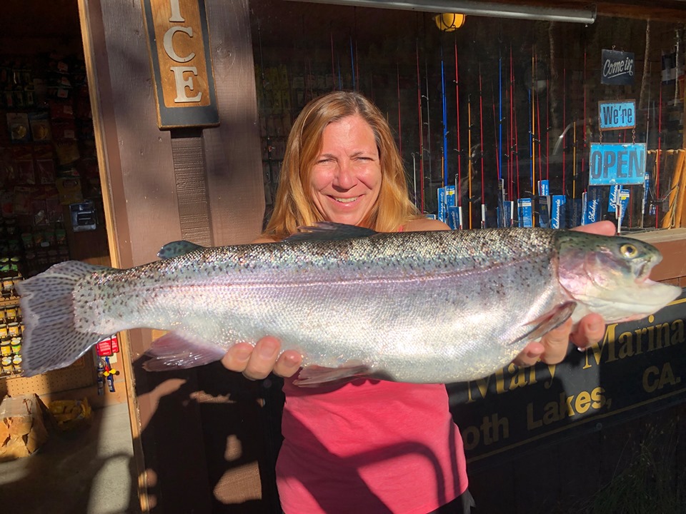 Lake Mary Fish Report Mammoth Lakes, CA (Mono County)