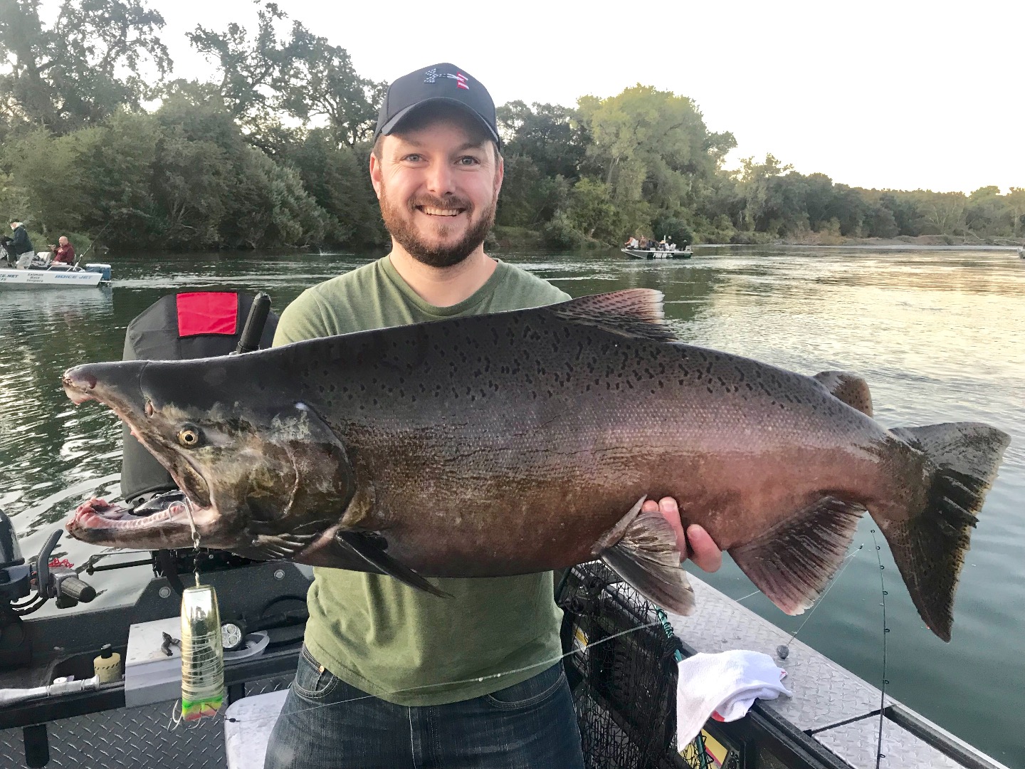 Anderson King salmon pouring in!