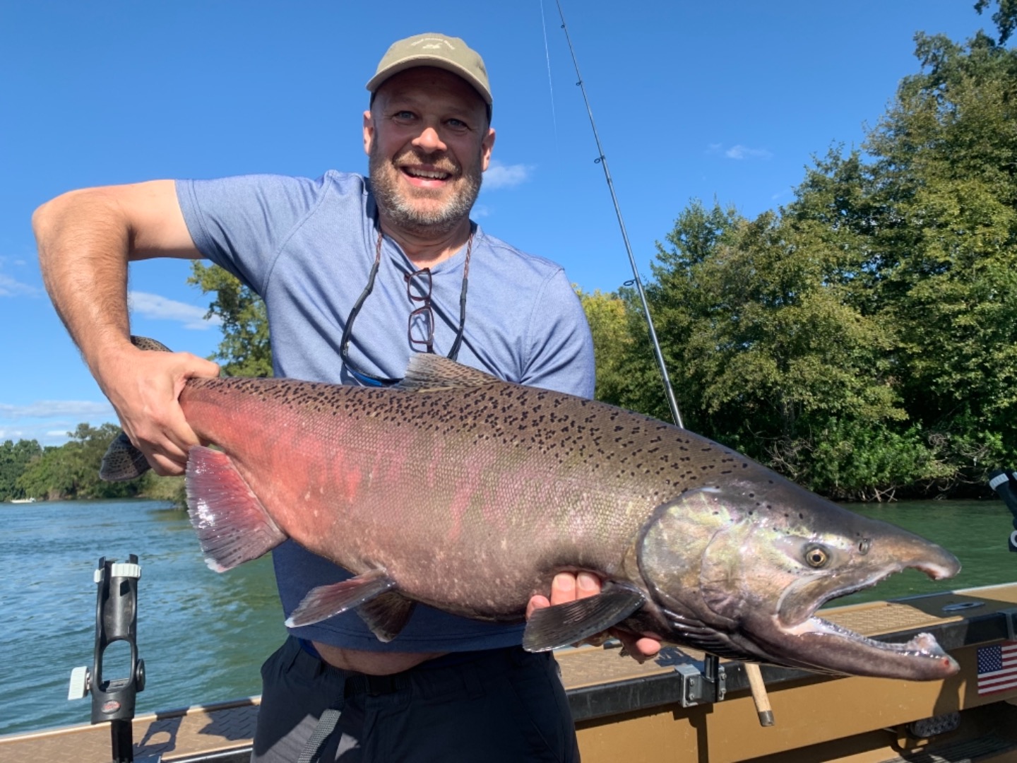 Barge hole king salmon