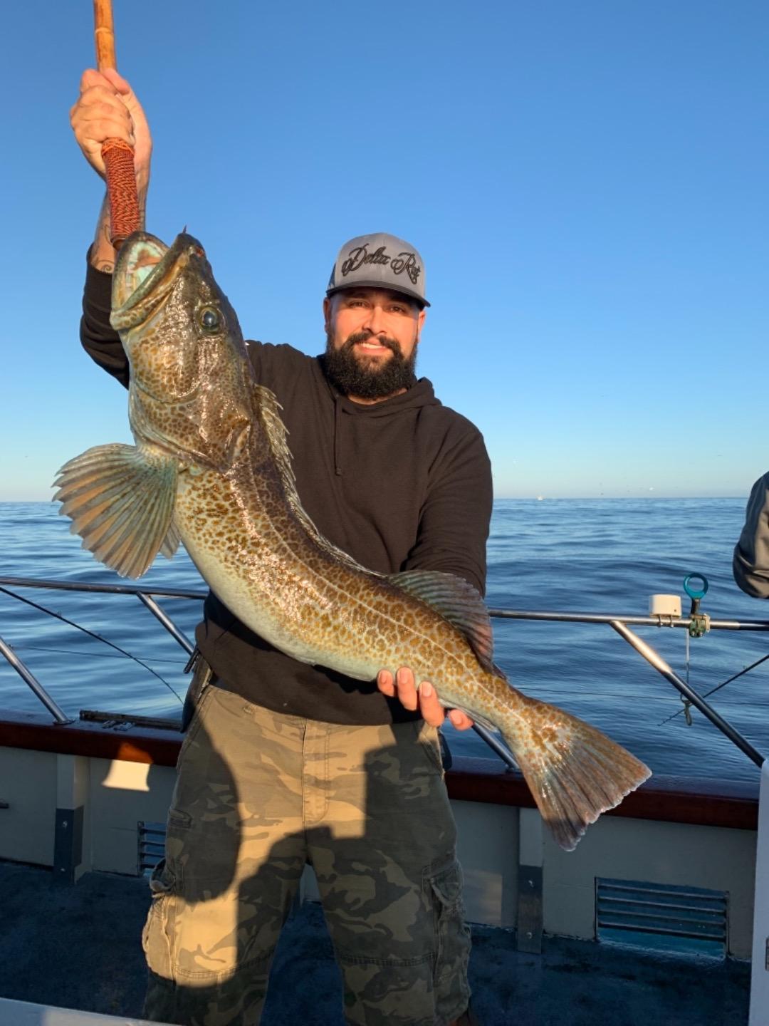 Limits of rockfish and over a fish a rod on lingcod 