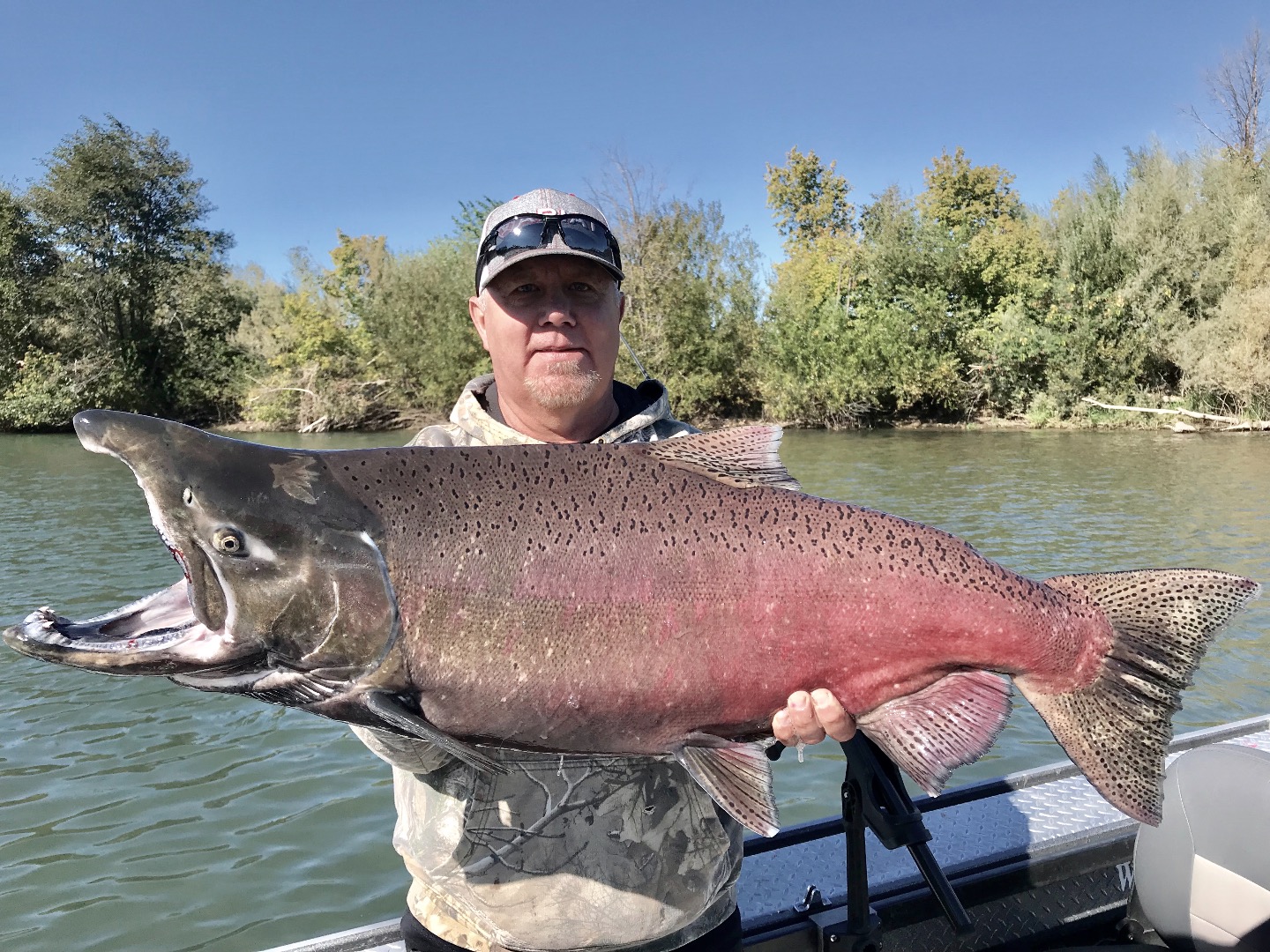 Sac River holes below Anderson filling with Kings!