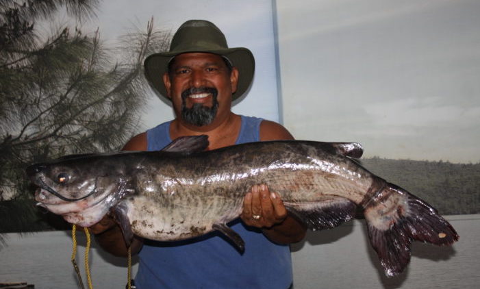 Collins Lake Fish Report - Collins Lake - Crazy Catfish Catching -  September 25, 2019
