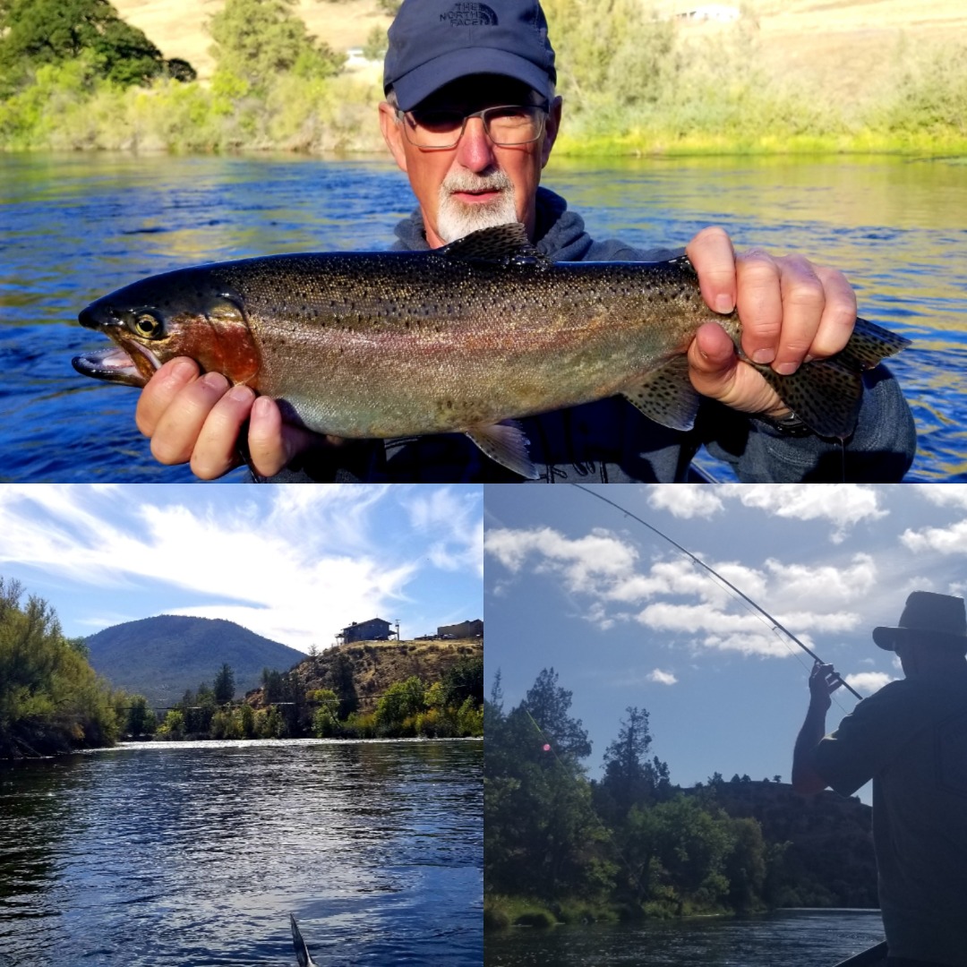 Awesome Steely Trout bite, Salmon trickling in