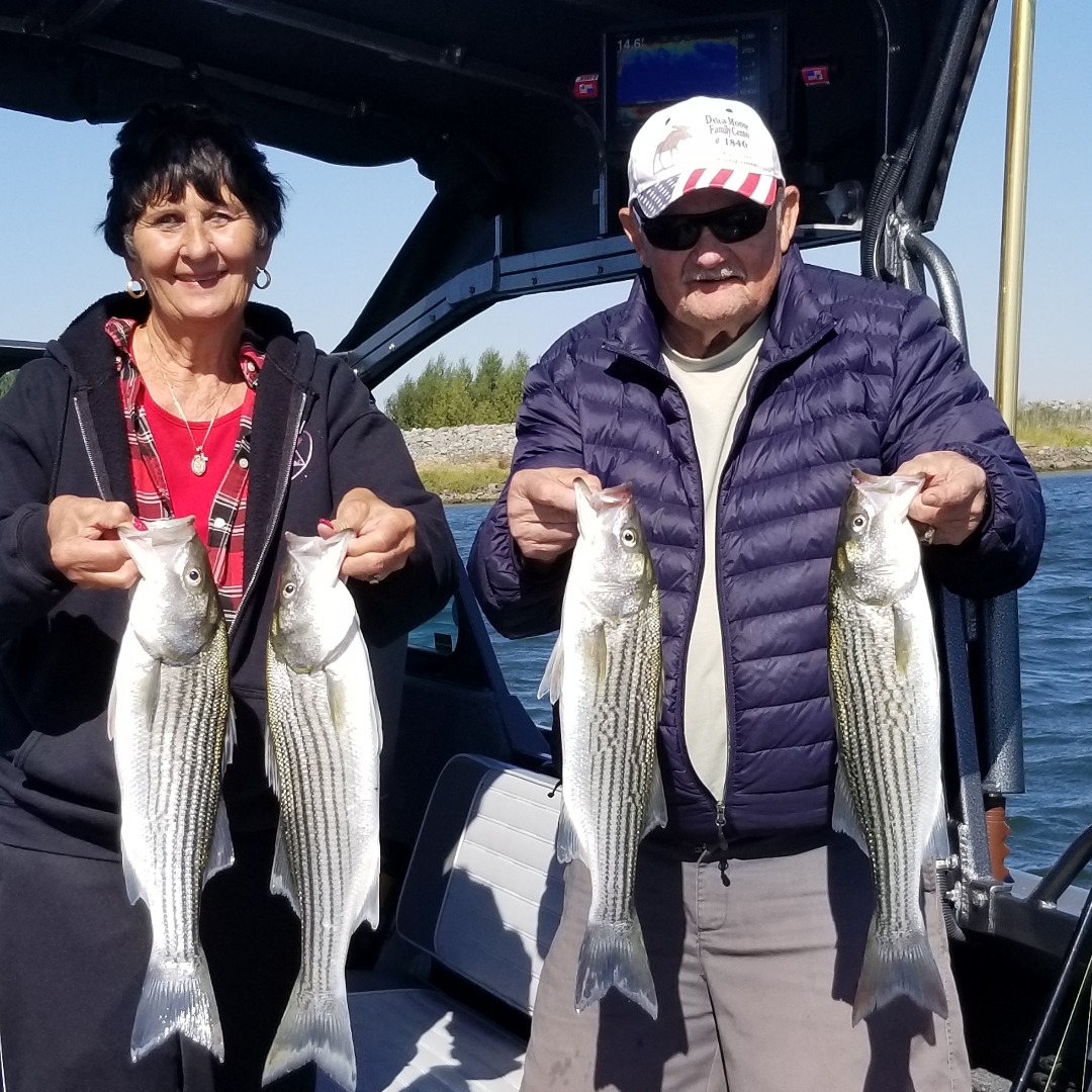 Windy delta stripers 