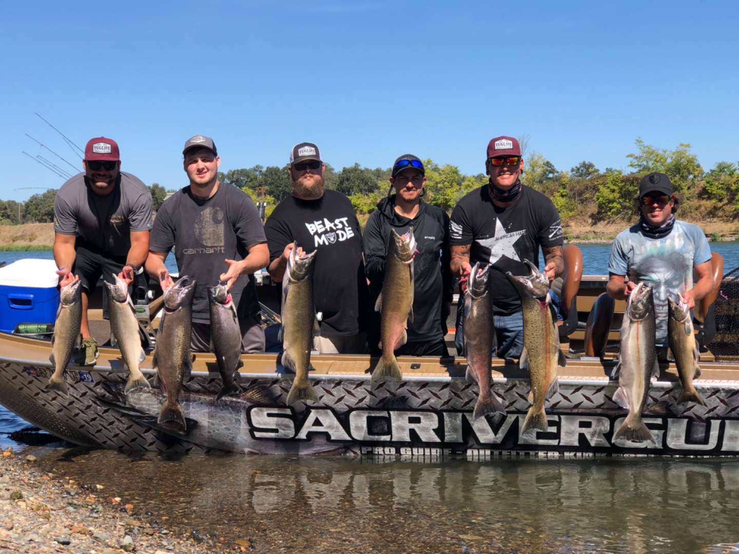 Lots of fish in the river