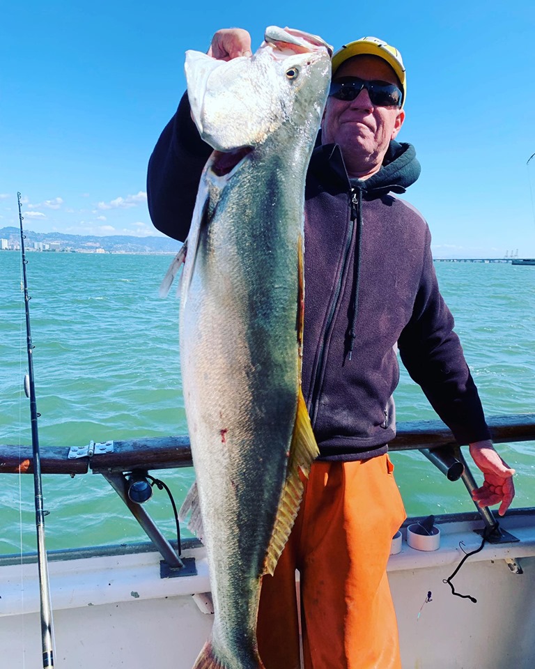 California Dawn Fishing Report