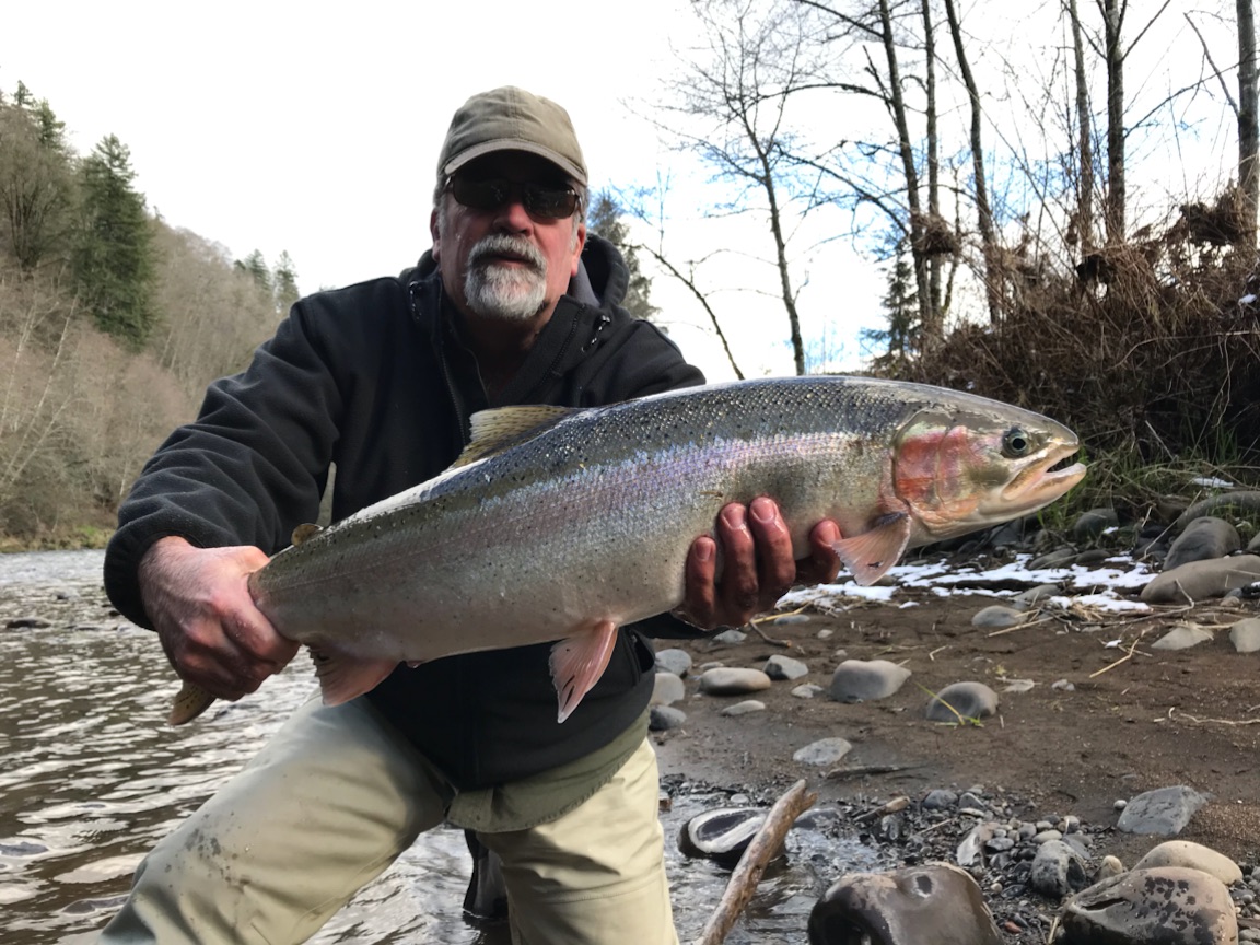 Now booking Steelhead fishing on the Trinity River! 