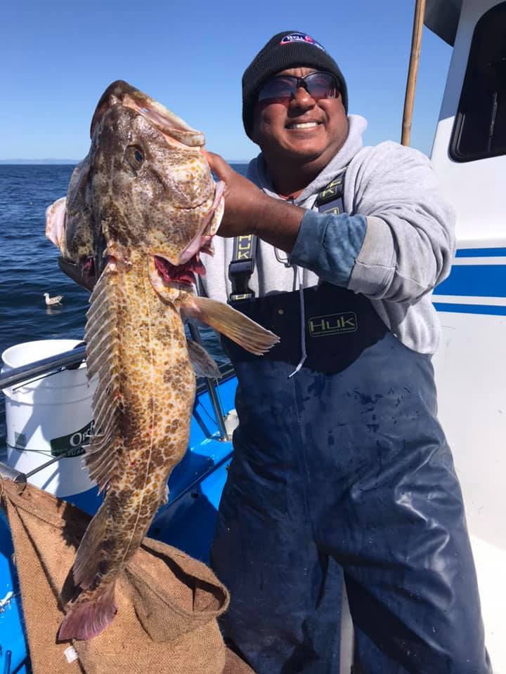 Lingcod Up to 21 Pounds