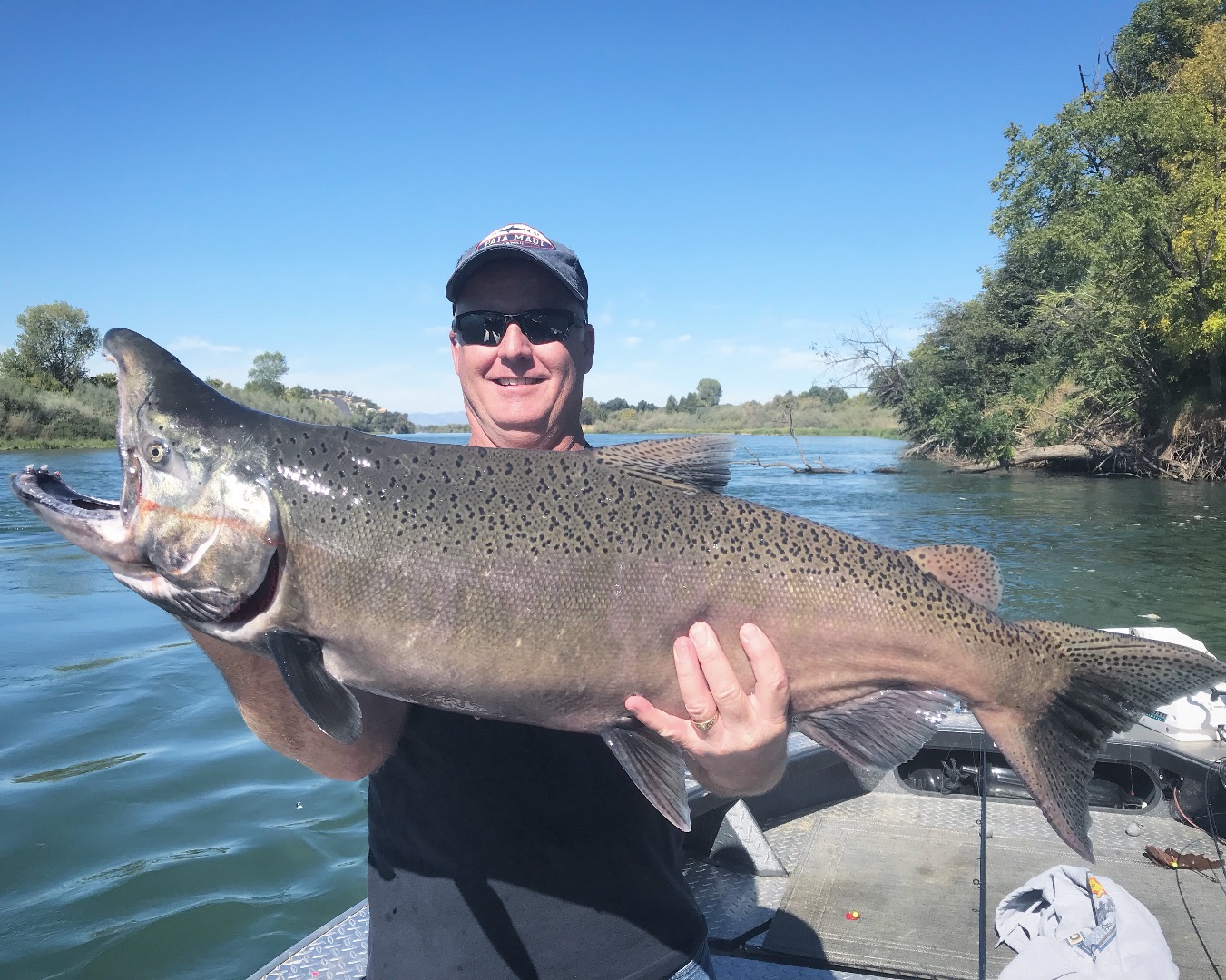 Flows drop again, but bite held up well for Kings!