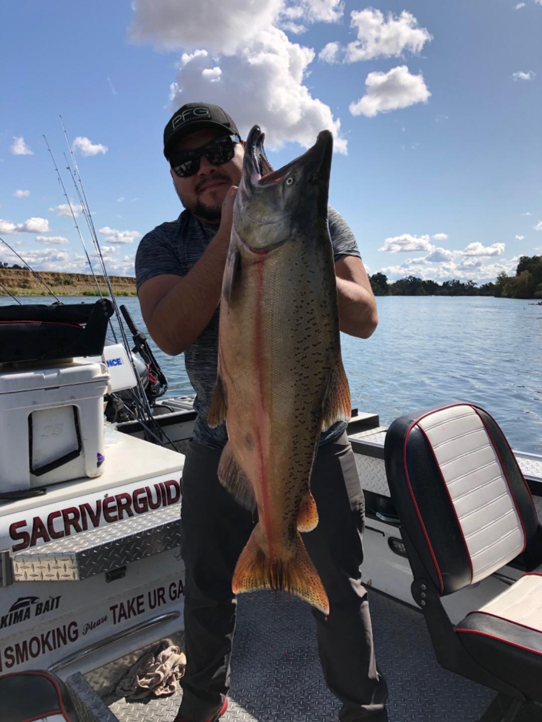 Balks ferry salmon fishing