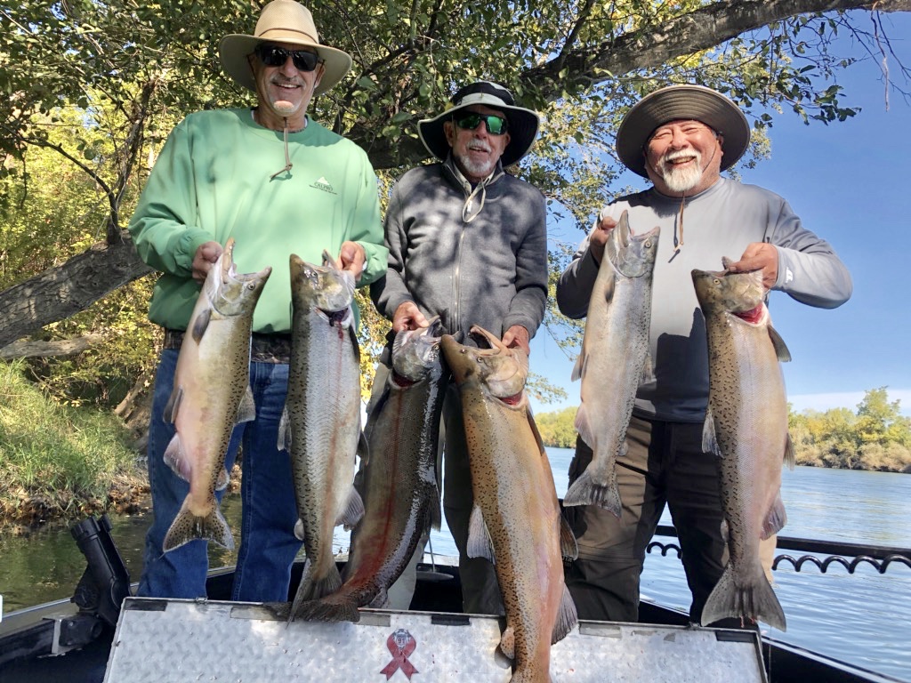 Sac River King salmon as good as it gets!