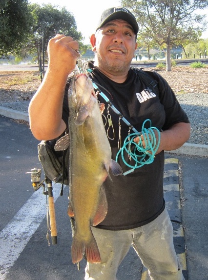 7.75 Lb. Catfish 