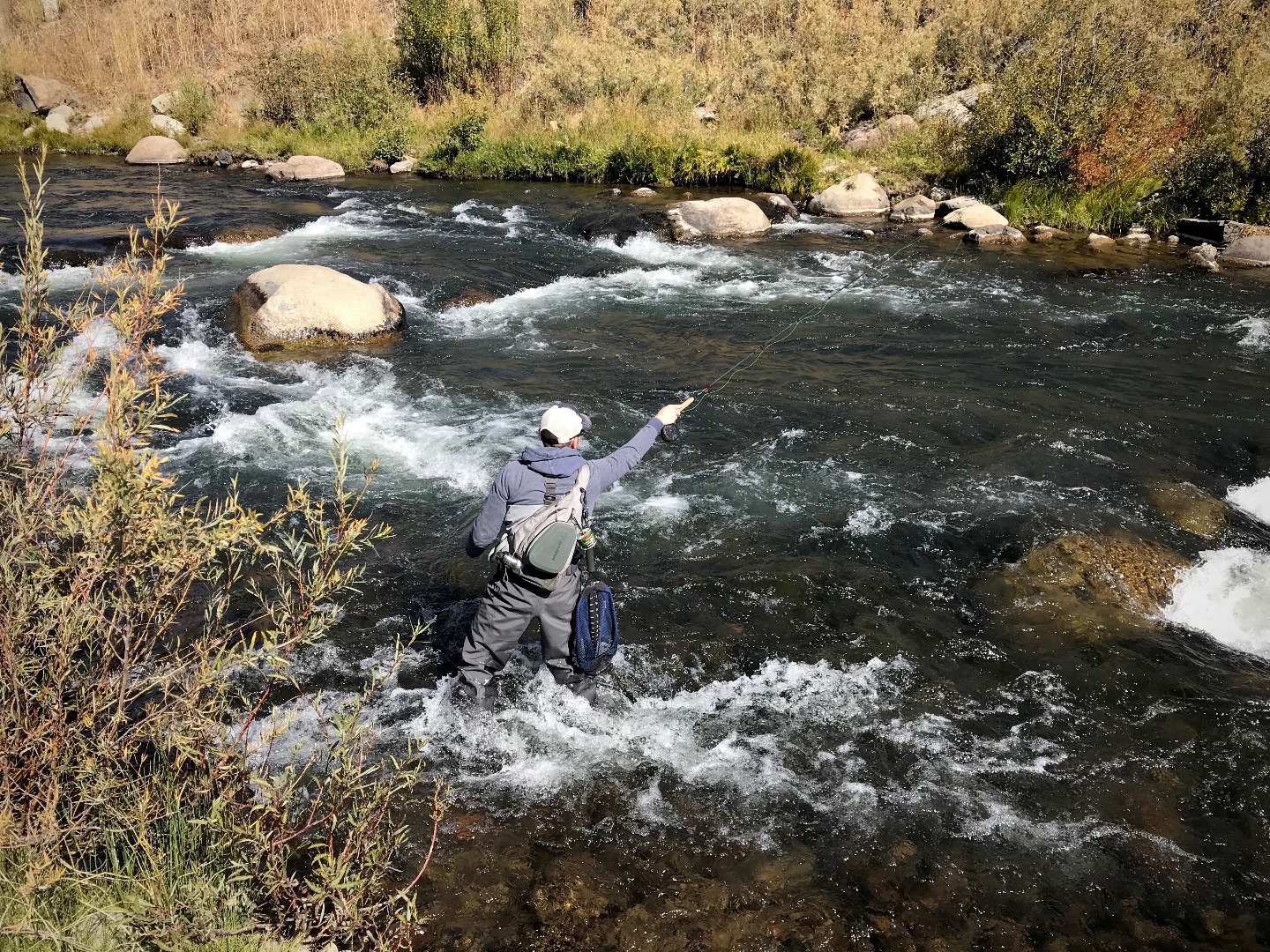 Truckee River Fish Report