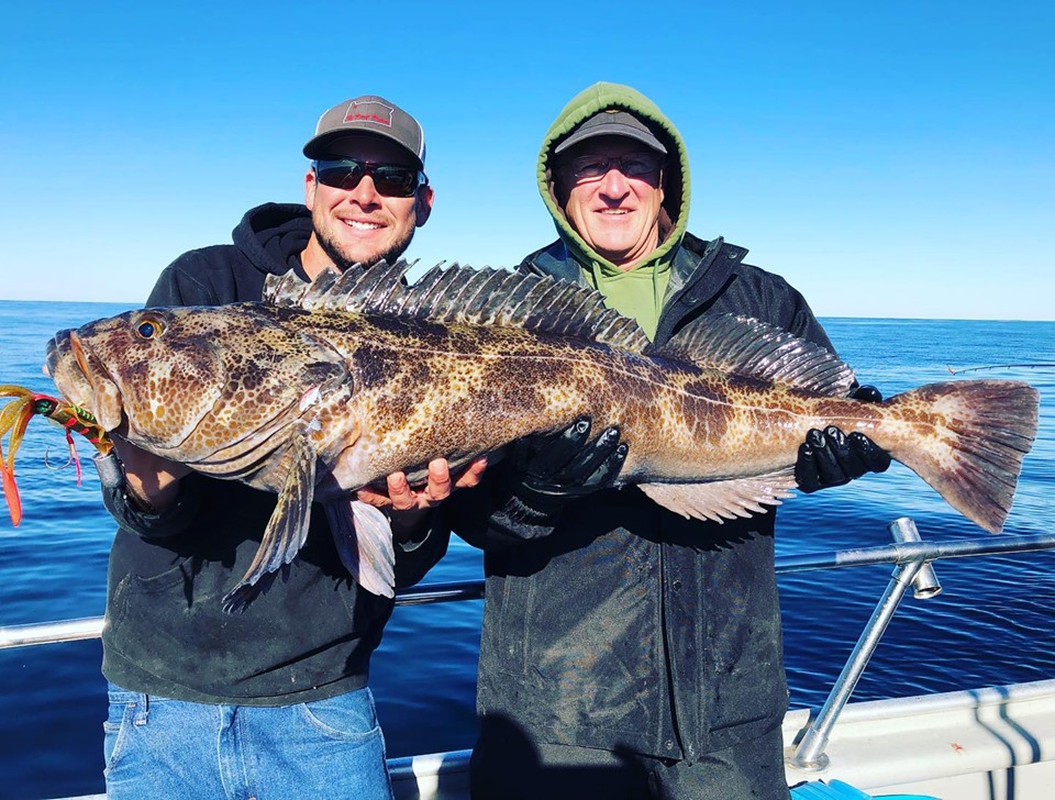 Lingcod Bite is Getting Better