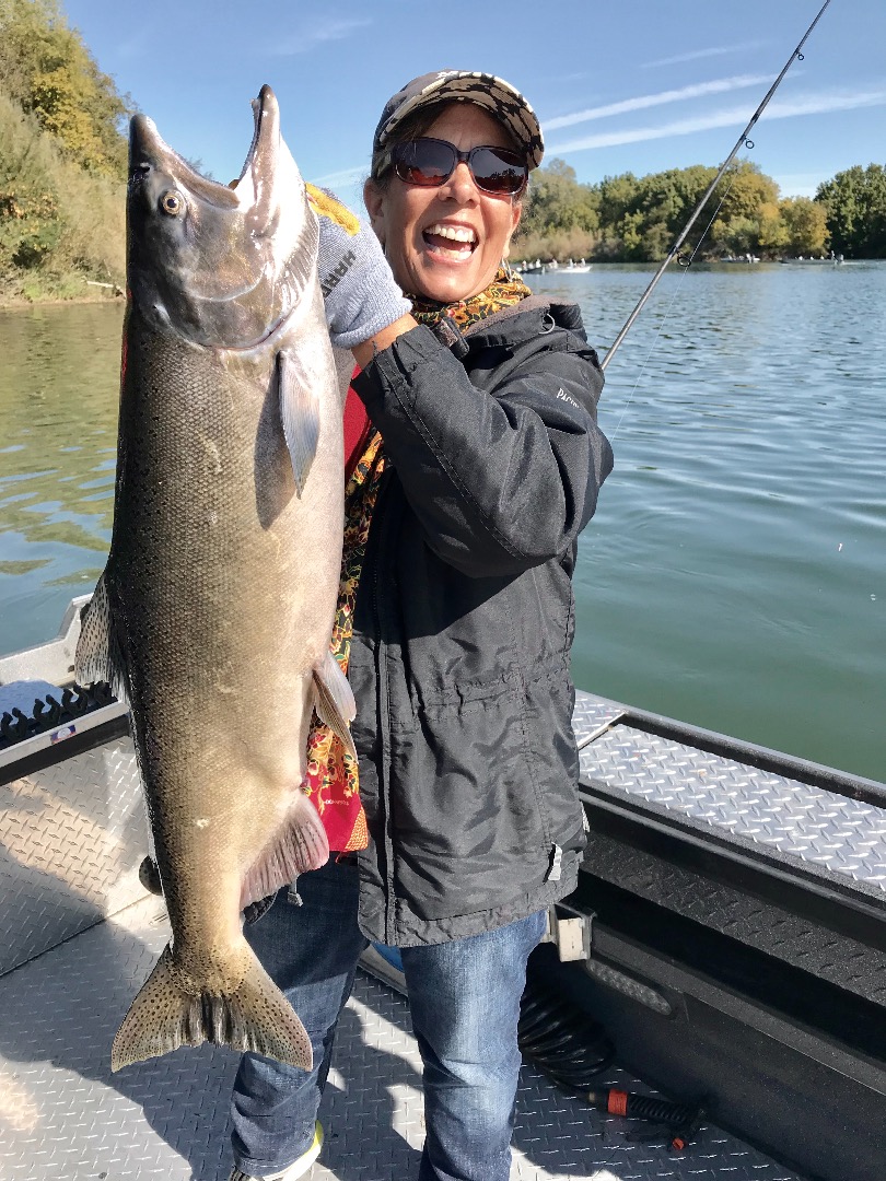 Good salmon fishing in Anderson continues.