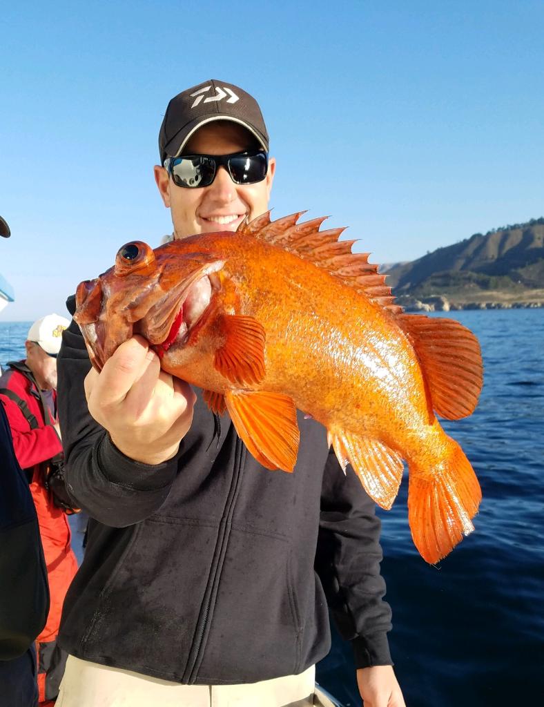 Fishing in the kelp beds!