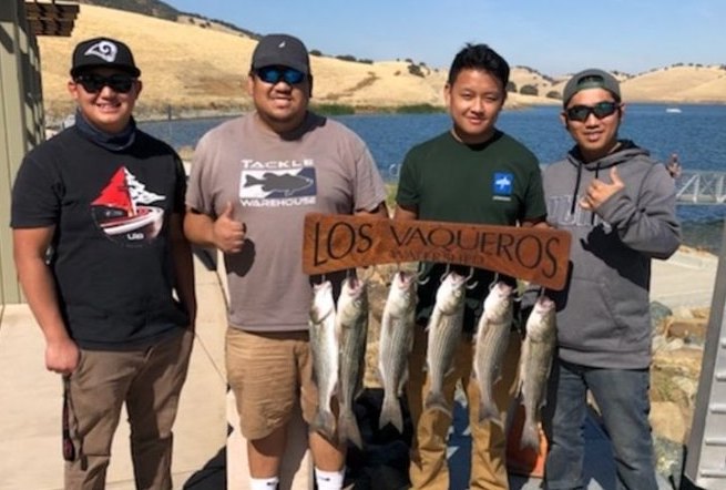 Striper Action on Los Vaqueros