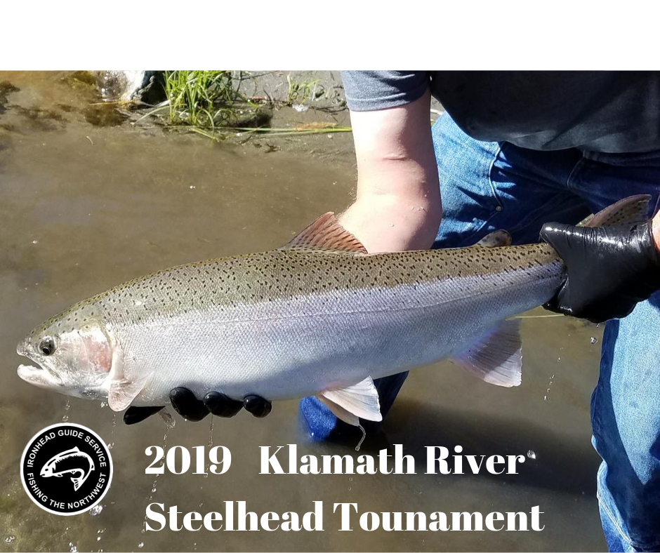 Steelhead Season is off to a great start