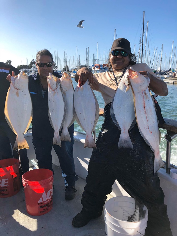 California Dawn Fishing Report