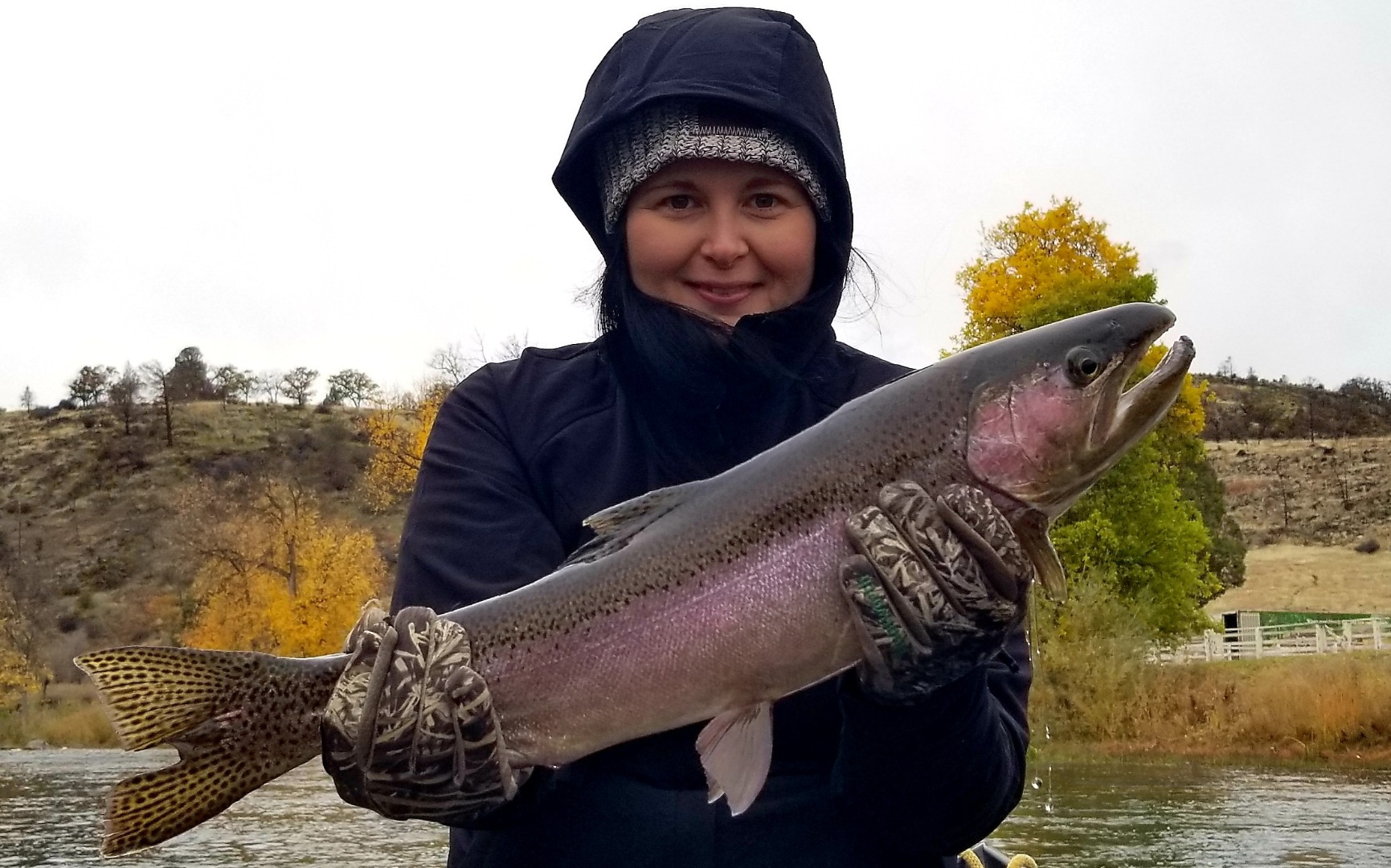 Klamath river Steel action