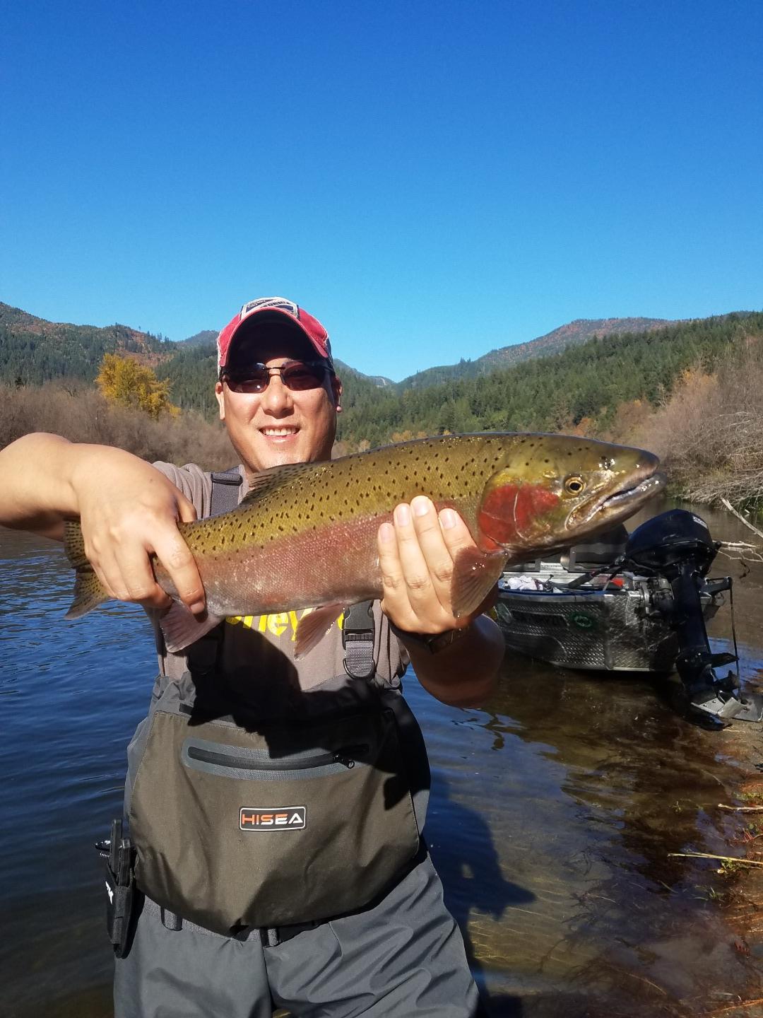 Steelhead Heaven