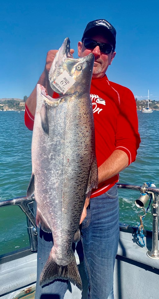 Marin County Coast Salmon 