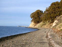 Point Pinole Pier Fishing Report