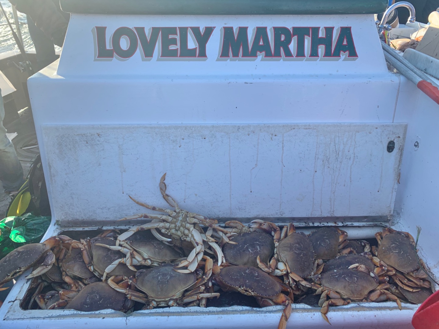 35 LIMITS of crab and jumbo rockfish to start the season!!