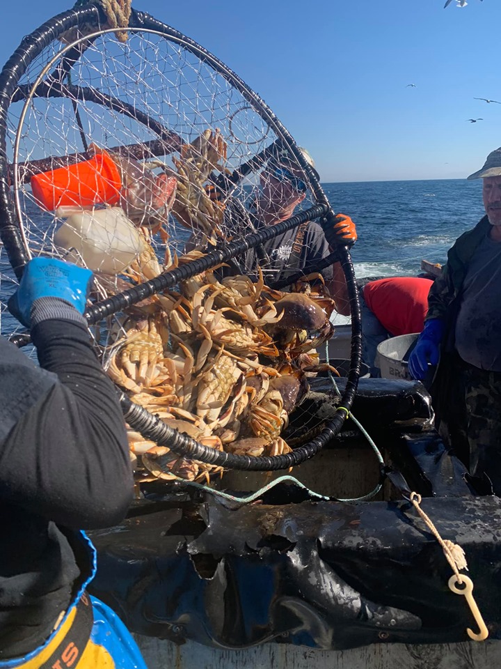 Great Crab Combo Opener Today