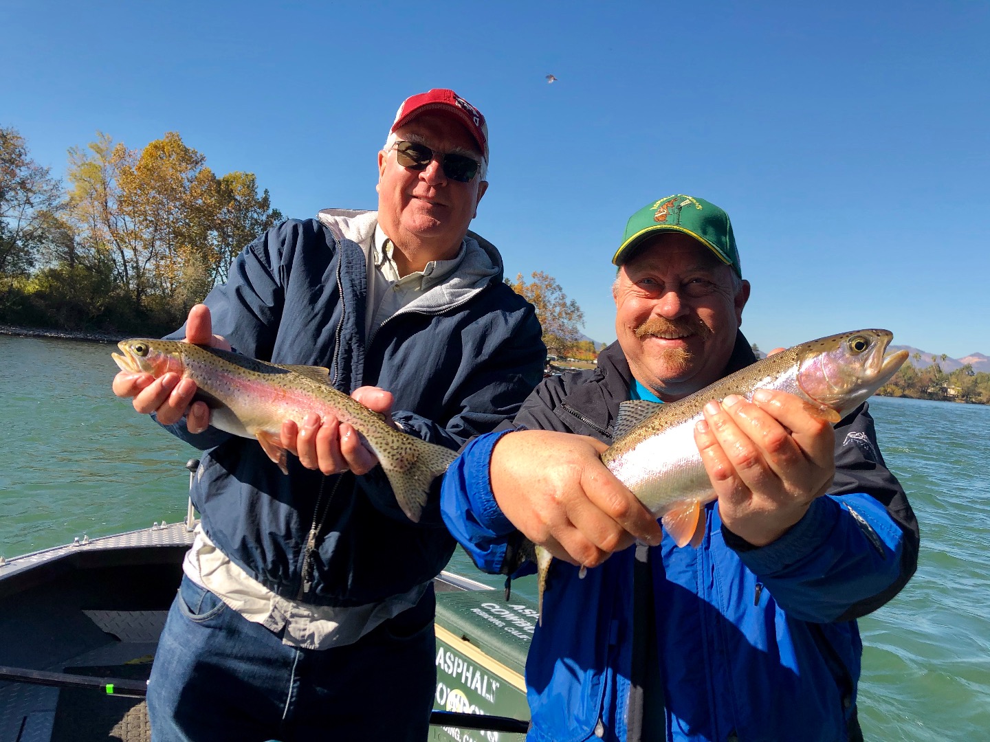 Egg bite hot for Sac River steelhead/rainbows