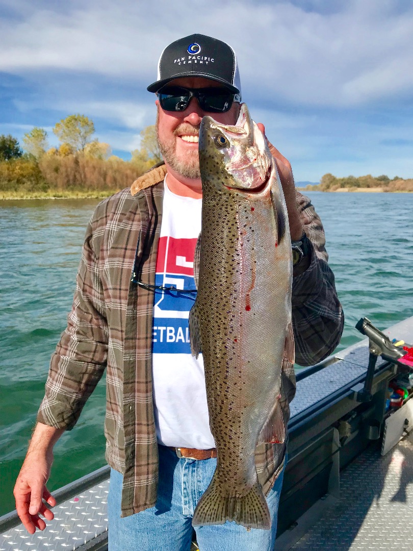 King salmon taking a back seat to the Sac River steelhead rt now.