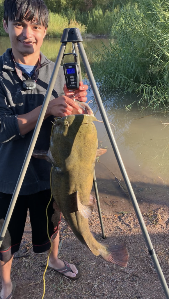 Lake Pleasant Fish Report New River , AZ