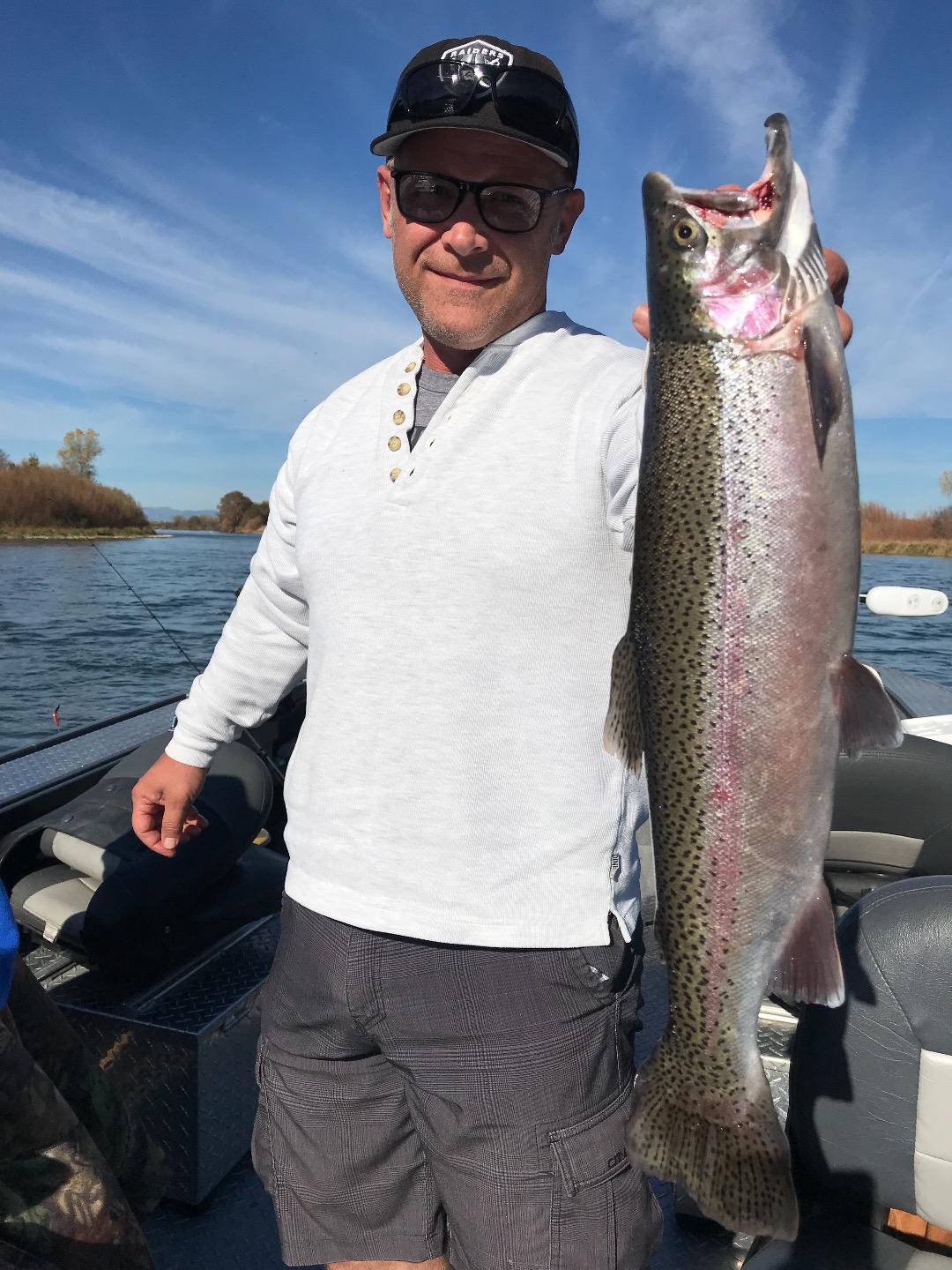 Steelhead/trout bite continues on the Sac near Redding.