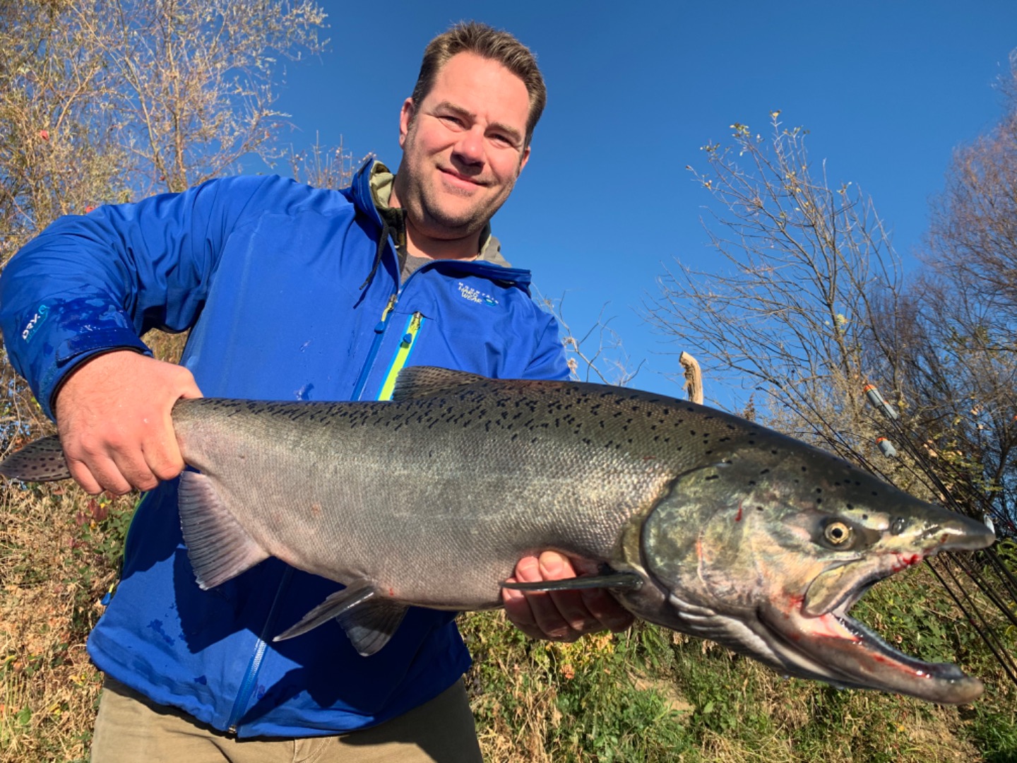 Late fall king salmon 