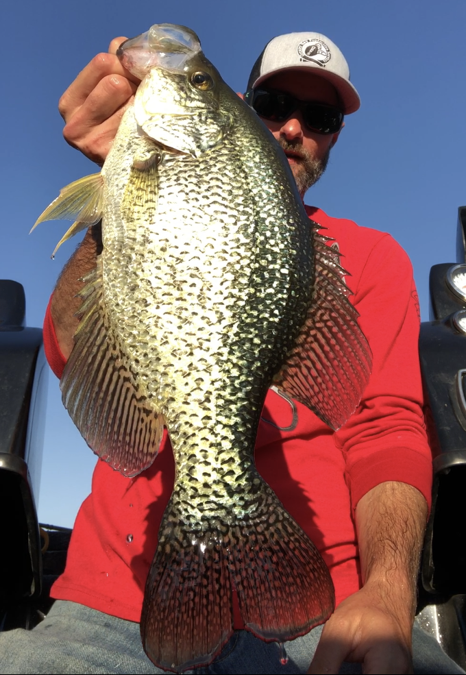 New Melones Anglers Report