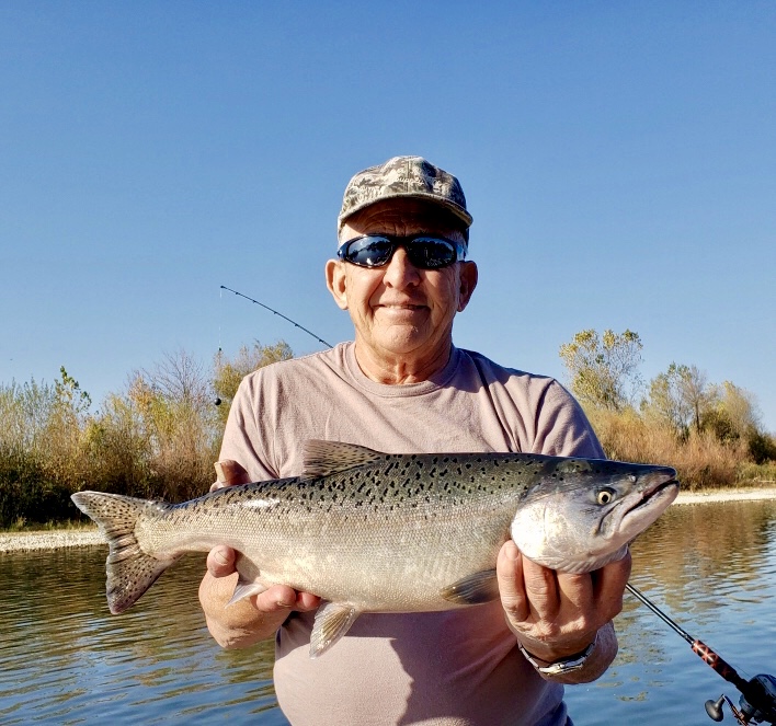 Late fall Kings keep coming!