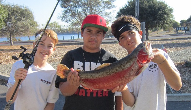 Rainbow Trout in High Action 