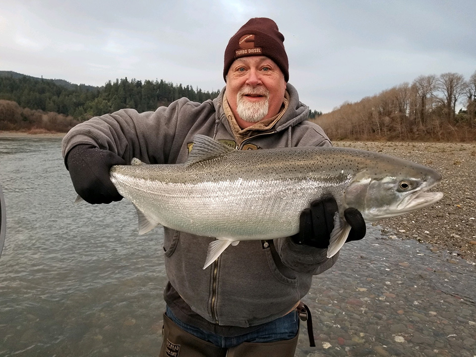 Wild steelhead harvest could end on the Chetco