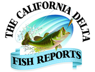 California Delta Chambers & Visitor Bureau Fishing Report