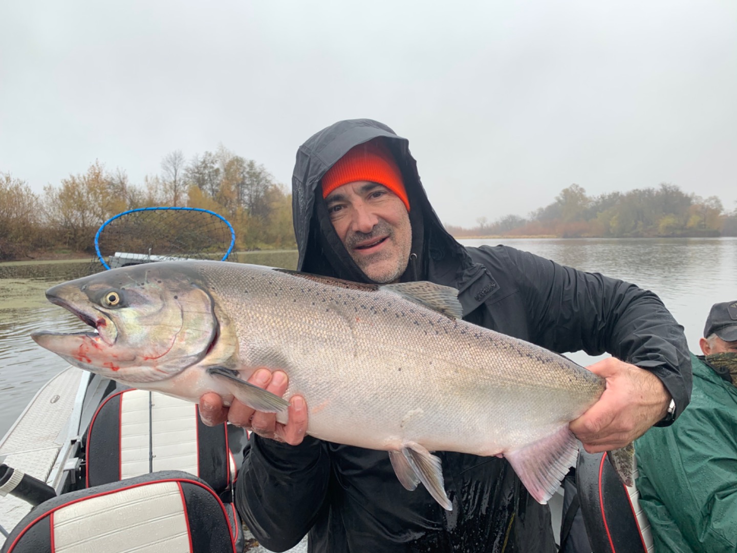 Late fall king salmon 