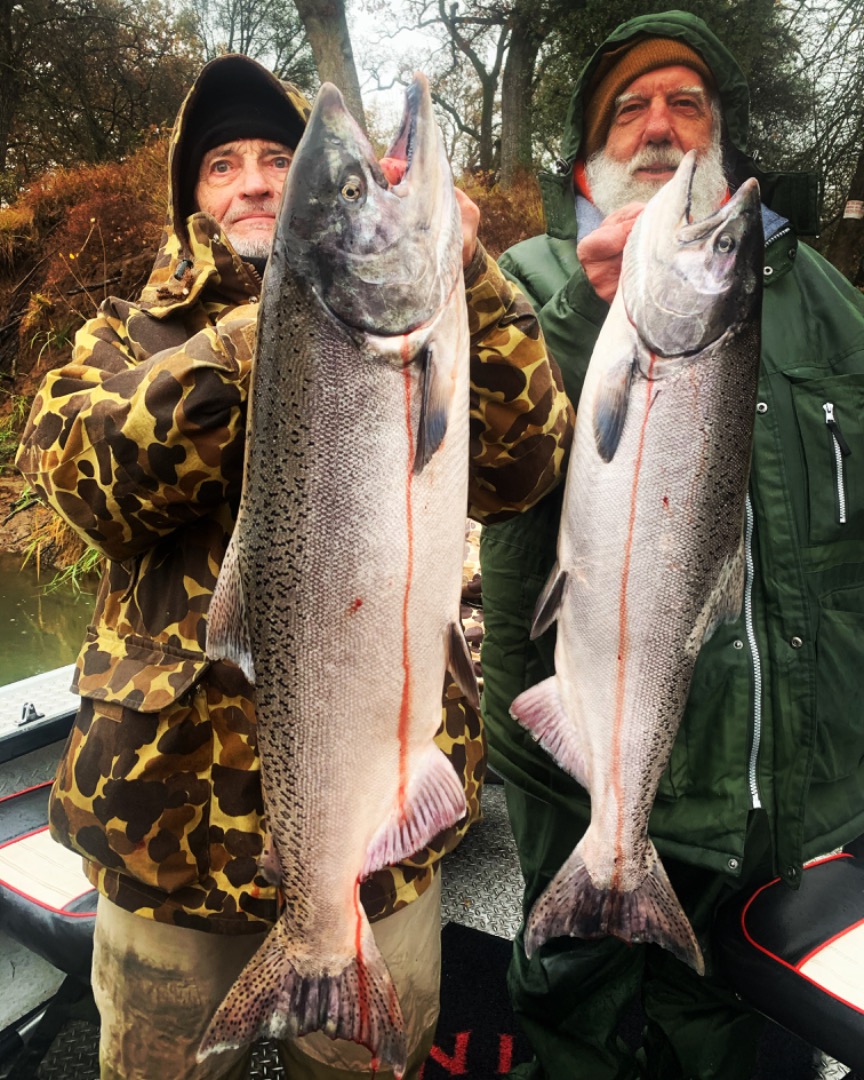 Salmon fishing Sacramento River 