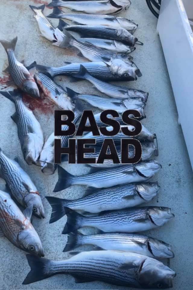 Striped Bass on The Bass Tub